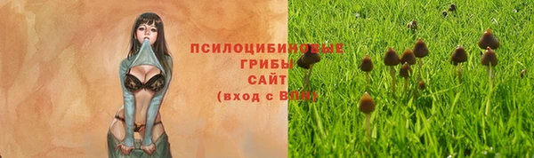 меф Надым
