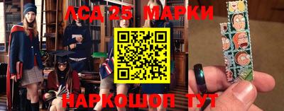 гидропоника Кингисепп