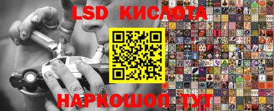 индика Бийск