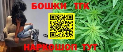 индика Бийск