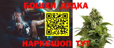 индика Бийск