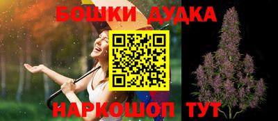 индика Бийск