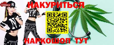 индика Бийск