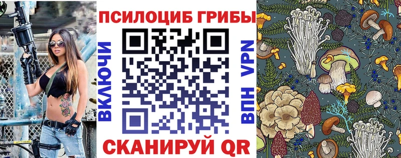 Псилоцибиновые грибы GOLDEN TEACHER  цены наркотик  Саратов 