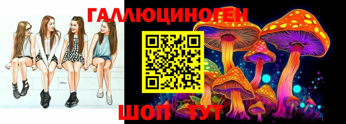 Галлюциногенные грибы Psilocybe Саратов