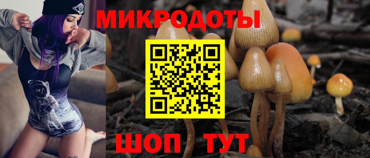 Галлюциногенные грибы GOLDEN TEACHER  цены наркотик  Саратов  Вход с VPN 