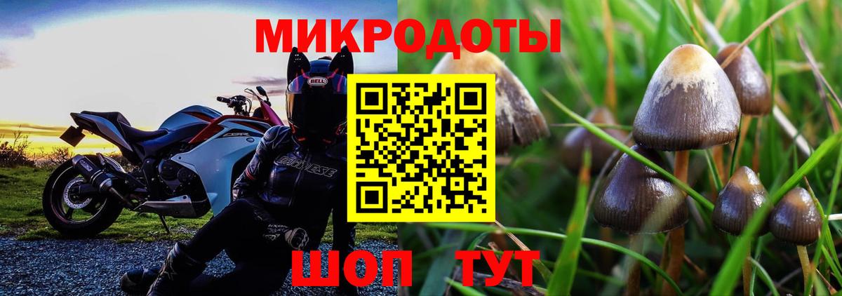 Псилоцибиновые грибы прущие грибы Саратов