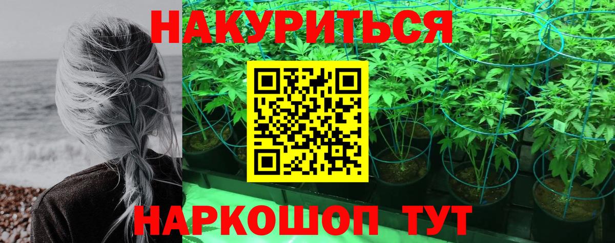 МАРИХУАНА план  Бошки марихуана сатива  Марихуана тримм  Саратов 